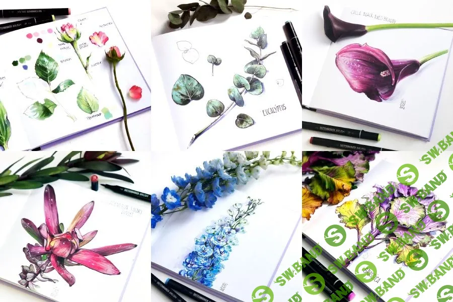 [Ирина Шельменко] Ботаническая иллюстрация маркерами (2019)