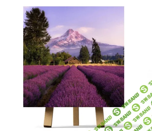 [Ирина Шпакова] Лаванда (2023)