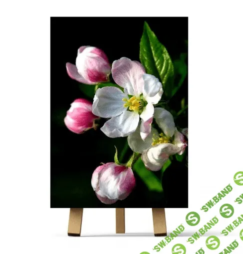 [Ирина Шпакова] Ветка (2023)