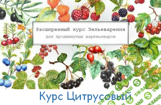 [Ирина Таро] Большой Цитрусовый курс (2023)