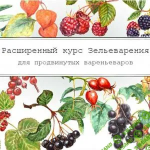 [Ирина Таро] Курс зельеварения «Рождественская корзинка - съедобные подарки»‎ (2021)