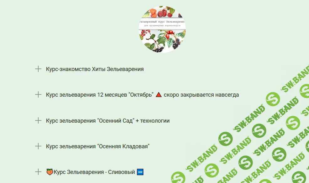 [Ирина Таро] Курс Зельеварения - Сливовый. Новый! (2021)