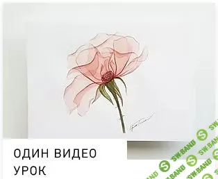 [Ирина Толчина] Прозрачные цветы. Роза (2020)