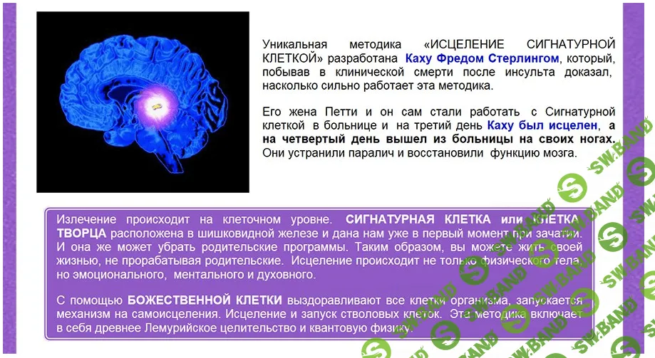 Исцеление Сигнатурной Клеткой (полный материал)