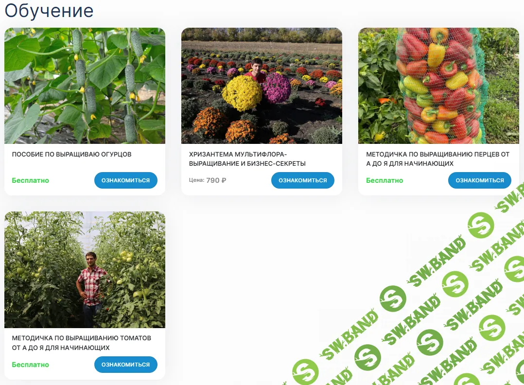 [Яков Огородник] Методички от автора ютуб канала (2024)