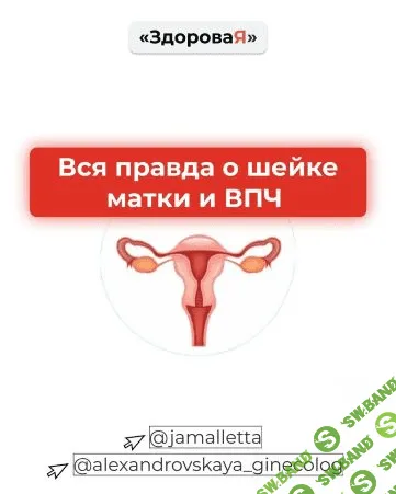 [jamalletta] Пособие «Вся правда о шейке матки и ВПЧ» (2020)