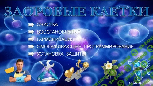 [Янгаев Руслан] Здоровые клетки