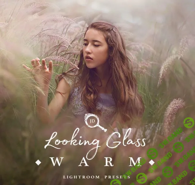 [Jessica Drossin] JD Looking Glass-теплый
