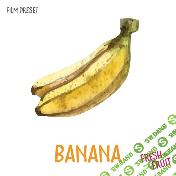 [Jorge Mаrquez] Pack banana (2019)