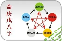 [Юлия Бальсина] Ба Цзы. Основы (2023)