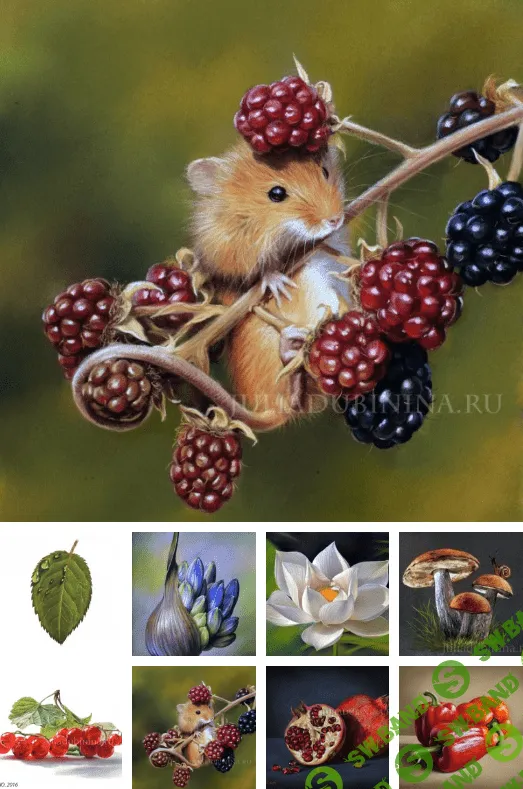 [Юлия Дубинина] Курс по ботанике в пастельной технике (2019)