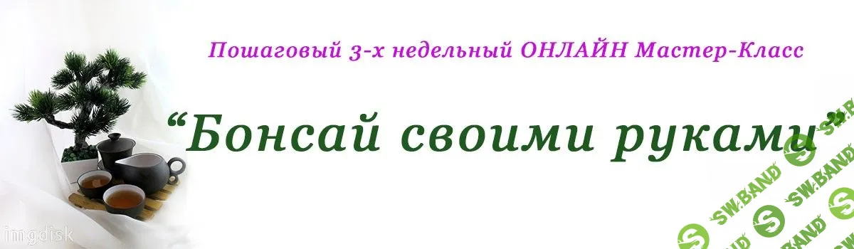 [Юлия Глухова] Мастер-класс Бонсаи своими руками