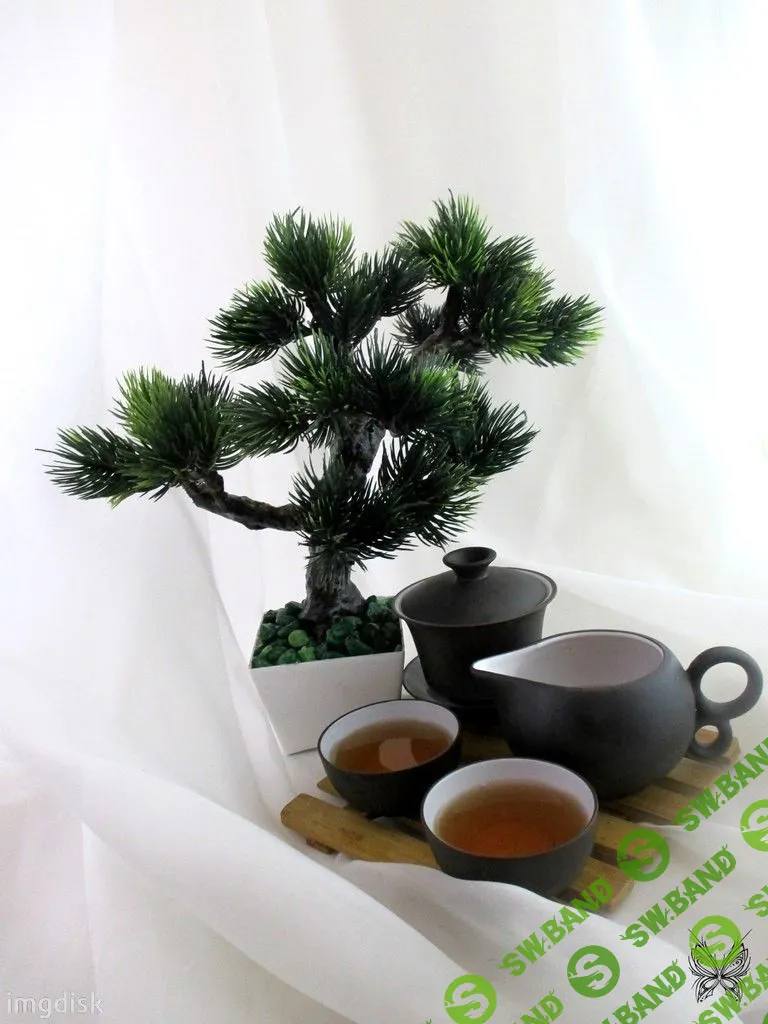 [Юлия Глухова] Мастер-класс Бонсаи своими руками