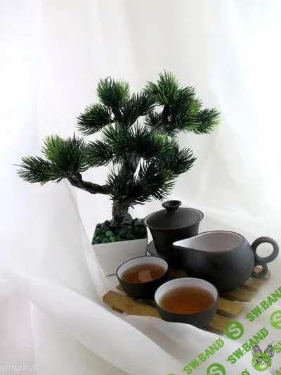 [Юлия Глухова] Мастер-класс "Бонсай своими руками" (2015)