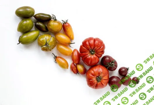 [Юлия Мальцева] Фитонутриенты: Еда как лекарство.Практический курс по функциональному питанию (2022)