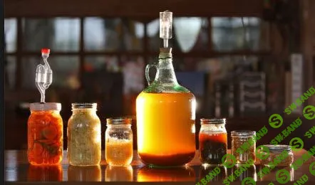 [Юлия Мальцева] Искусство ферментирования (2019)