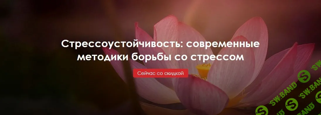 [Юлия Огаркова-Дубинская, Илья Степанов, Александра Вильвовская] Стрессоустойчивость: современные методики борьбы со стрессом (2020)