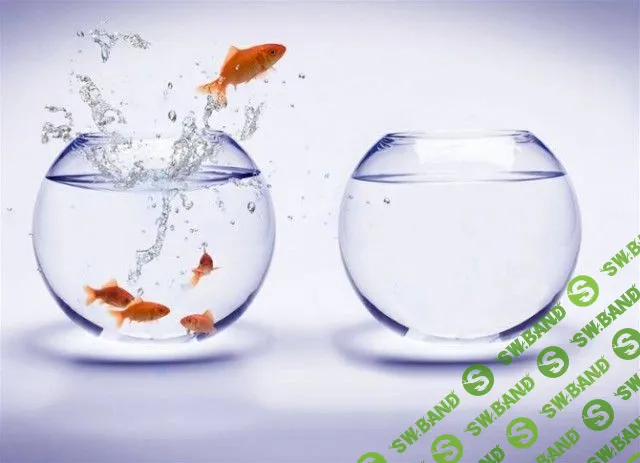 [Юлия Огаркова-Дубинская] Методика Spiritual Option. Базовый + Мастерский (2016)