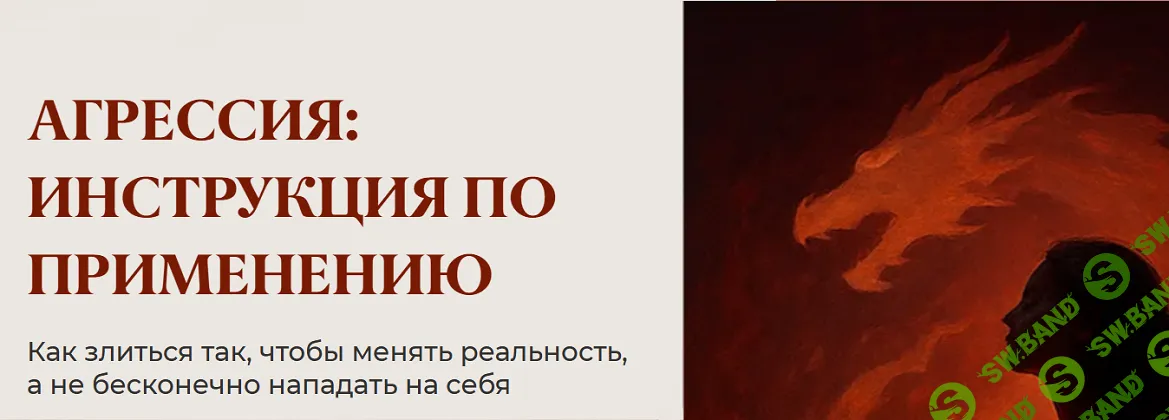 [Юлия Пирумова] Агрессия: инструкция по применению (2025)