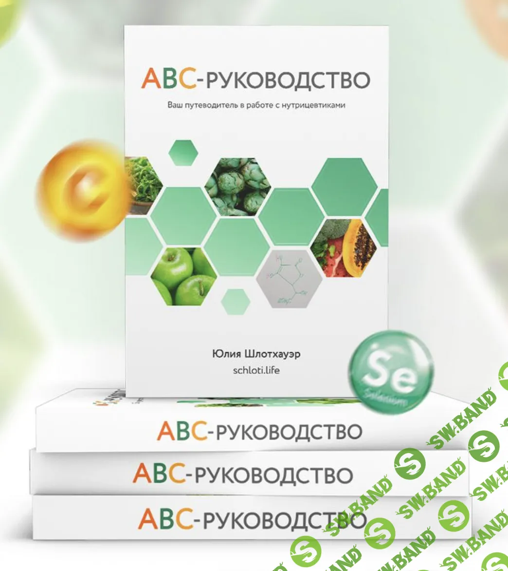 [Юлия Шлотхауэр] АВС руководство (2023)