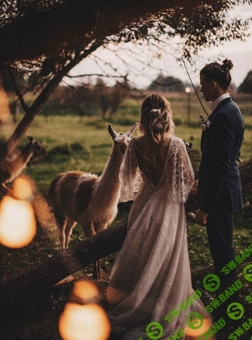 [Юлия Трегубова] Обработка и рецепт успешного бизнеса свадебного и семейного фотографа (2018)