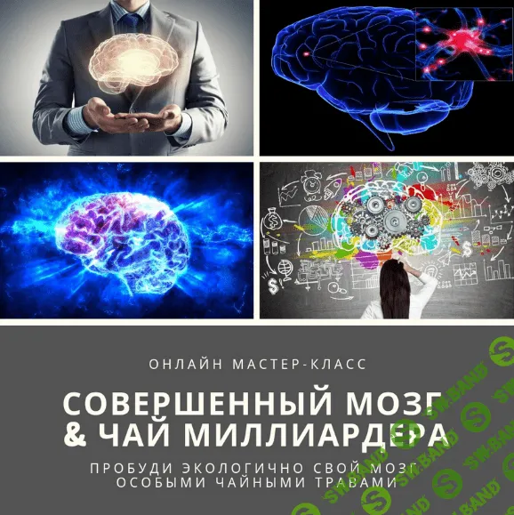 [Юрий Курский] Совершенный мозг & Чай миллиардера (2023)