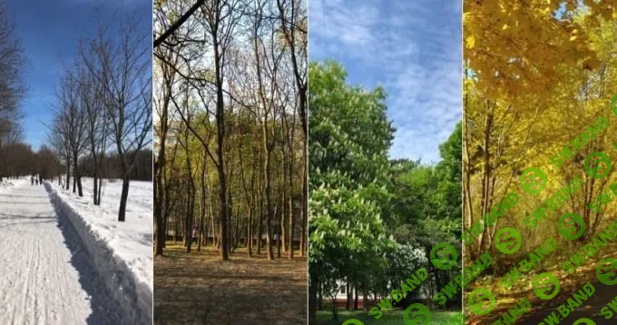 Как я не уехал в США и стал Президентом в России