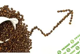 Как научиться видеть тренды, которые влияют на рынок