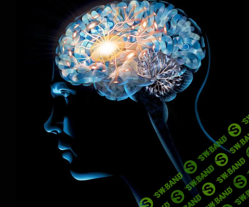 Как освободиться от разрушающих пристрастий: Техника доктора Брюера