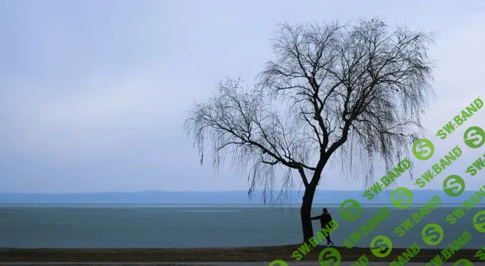 Как перестать страдать, даже если все плохо