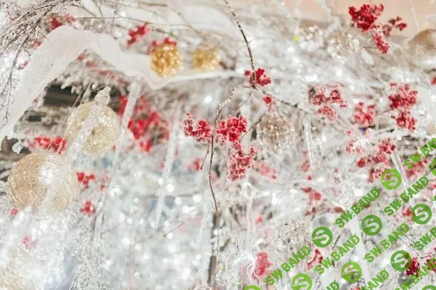 Как работать с минимальным бюджетом и не навредить себе и проекту