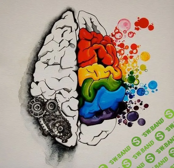 Как развивать пластичность мозга