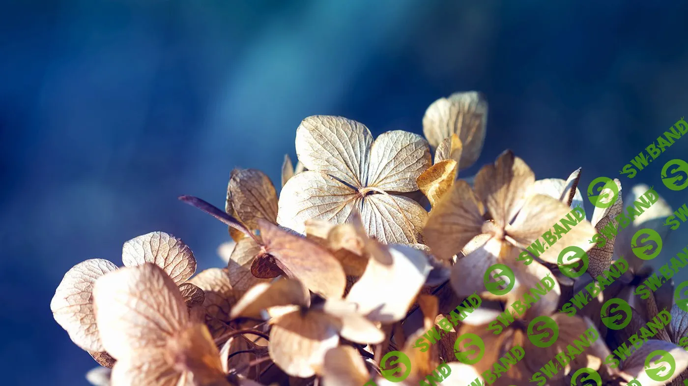 Как снять психологическое напряжение и освободиться от раздражения или гнева