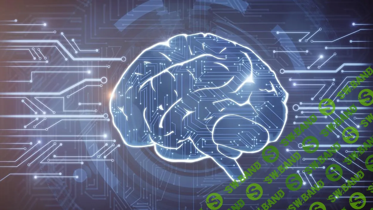 Как защитить и сохранить свой мозг