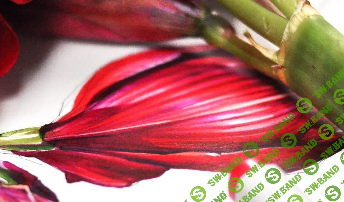 [KalachevaSchool] Скетчбук 2.0 (2019)