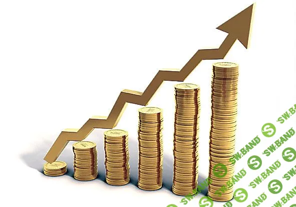 [Каримовой М.] Финансовая эволюция (2014)