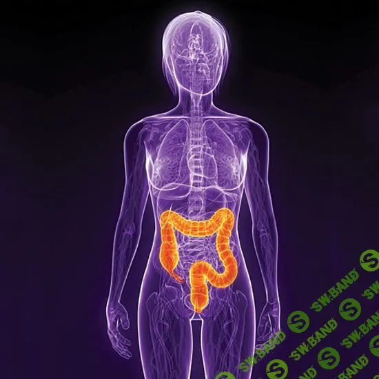 [Карина Каплун] Влияние диеты на разнообразие микробиоты и ее функций