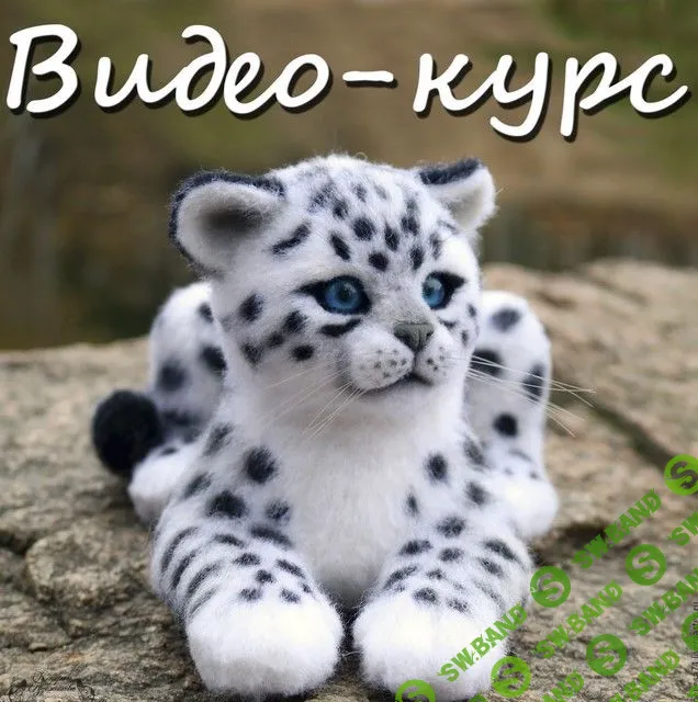 [Катерина Саломатина] Видео-курс «Cнежный барс» (2018)