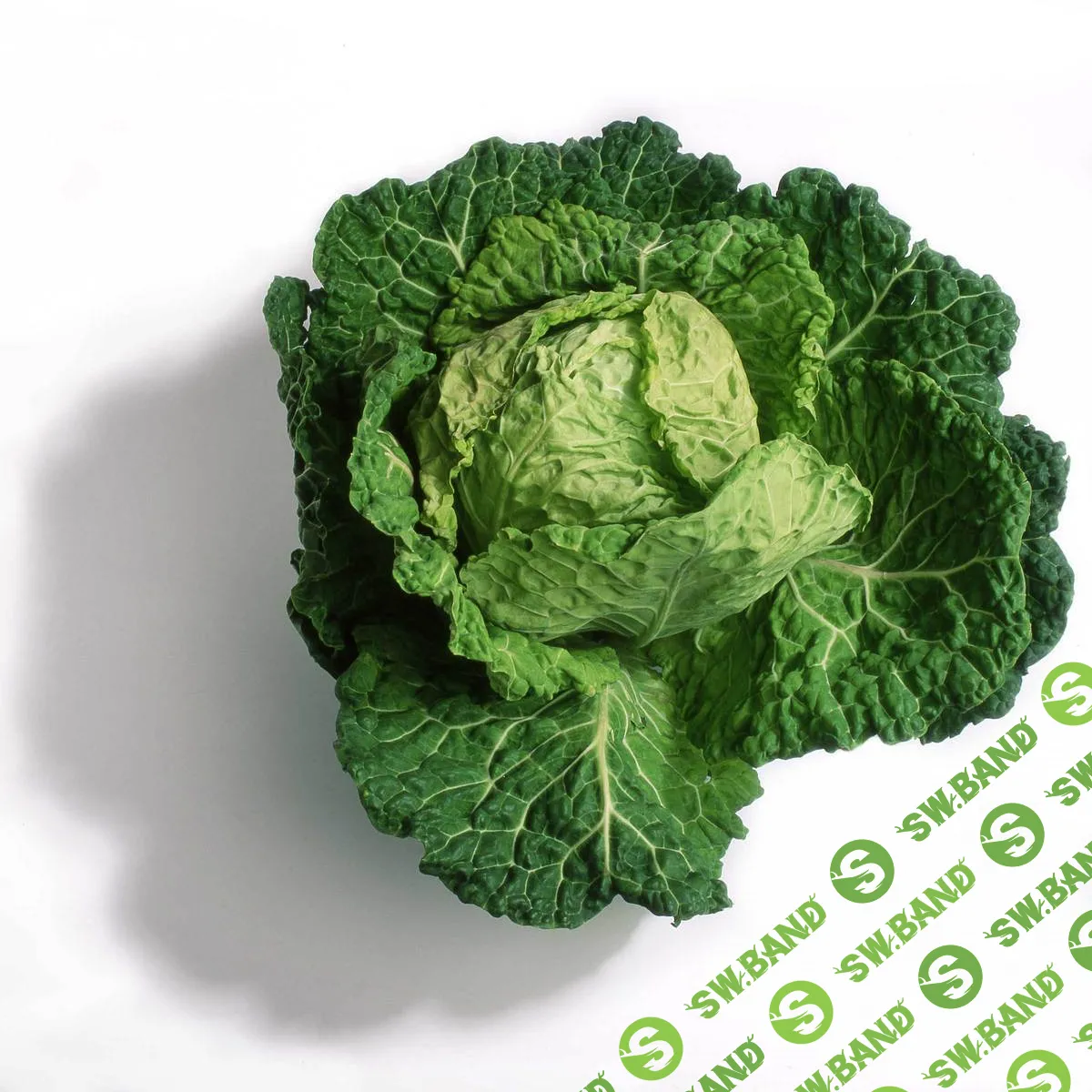 [Катерина Сиротова] Фантастическая клетчатка (2020)