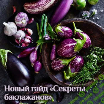 [Катя Янг] Гайд «Секреты баклажанов» (2024)