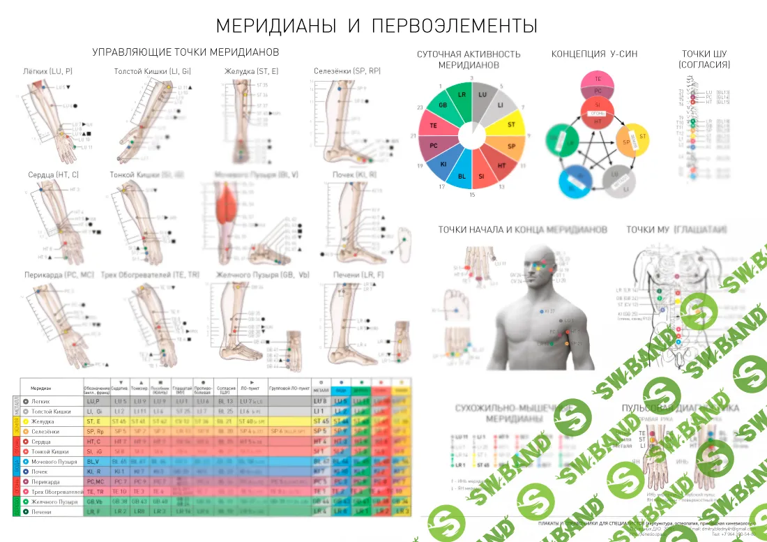 [Kinesio.Space] Плакат «Меридианы и первоэлементы» (2019)