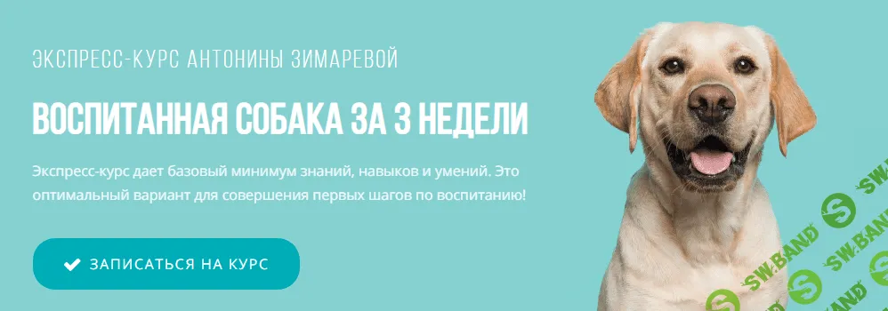 [Kinolog School] Антонина Зимарева - Воспитанная собака за 3 недели (2021)