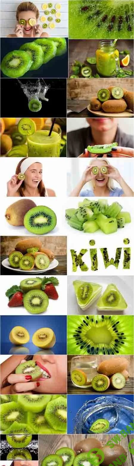 Kiwi berry plant macro pulp seed 25 HQ Jpeg
