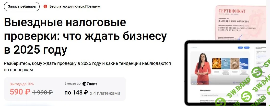 [klerk, Анастасия Опарина] Выездные налоговые проверки: что ждать бизнесу в 2025 году (2024)