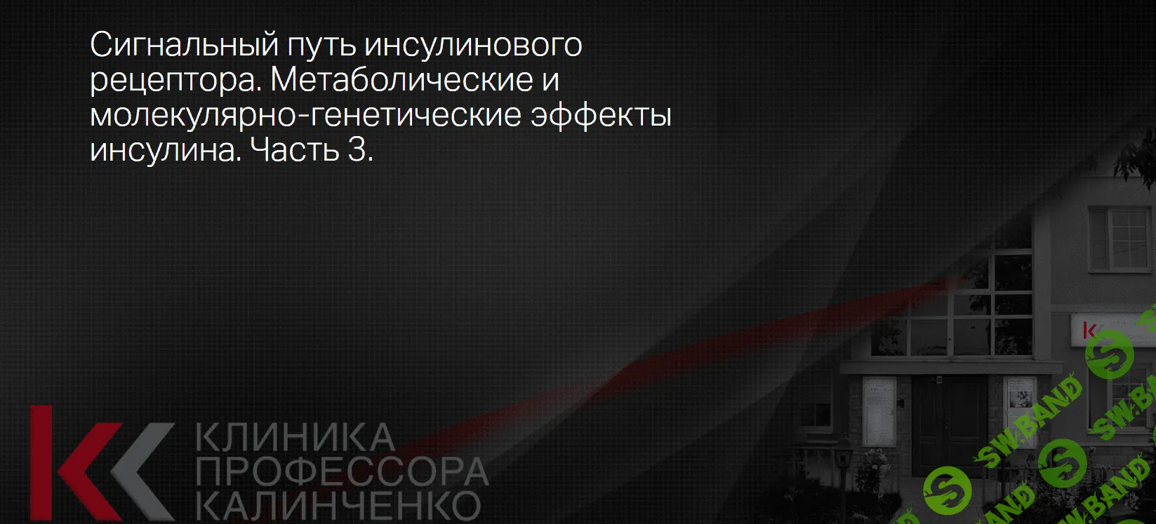 [Клиника Калинченко] Сигнальный путь инсулинового рецептора. Часть 3 (2021)
