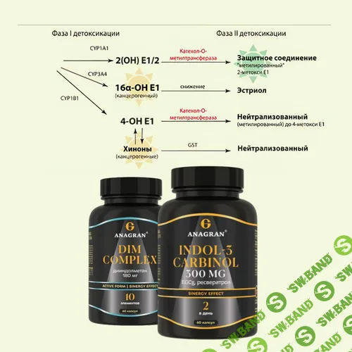 [Клуб ХИВ, Ирина Хисамова] Индол-3-Карбинол и ДИМ (2026)