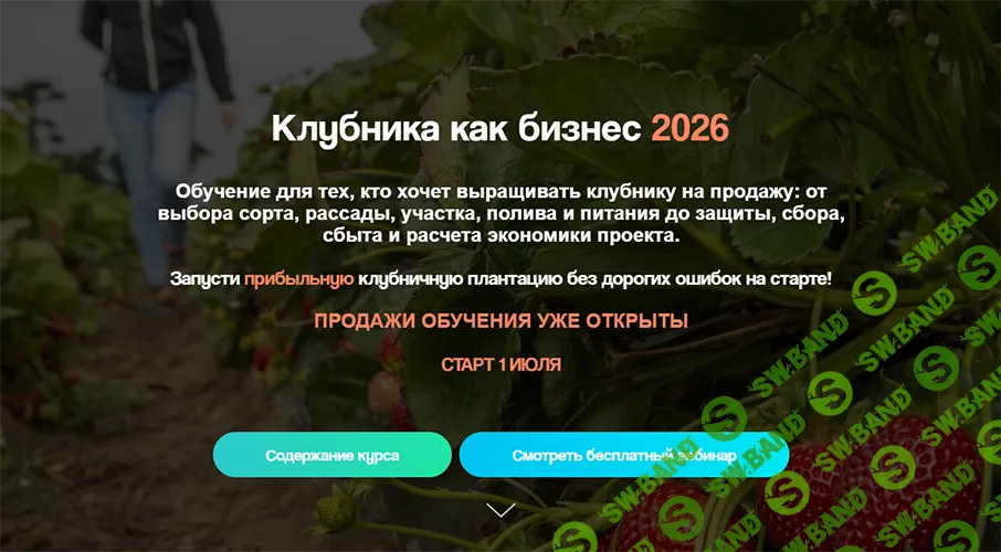 Клубника как бизнес 2026 [Дмитрий Парфёнов]