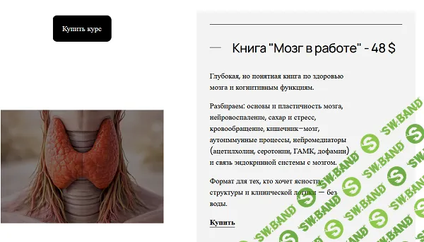 Книга Мозг в работе [Лариса Чумак]