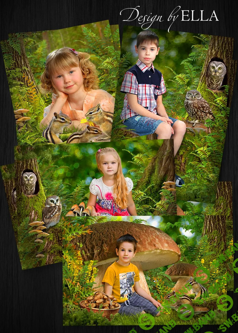 Коллажи на летне-осеннюю тему для садов и школ.