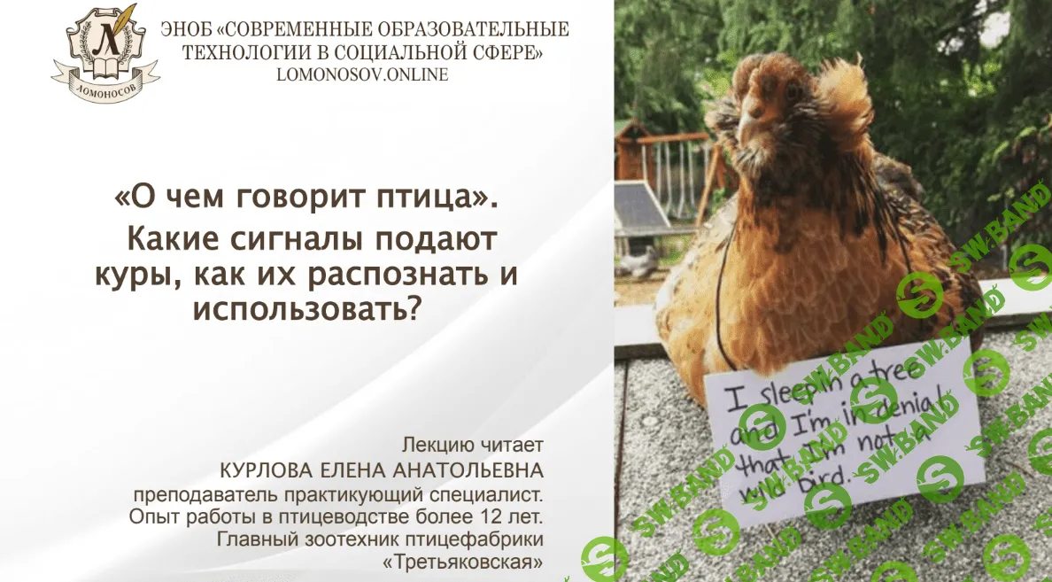 [Конорева Елена Анатольевна] «О чем говорит птица.» Какие сигналы подают куры, как их распознать и использовать. (2023)